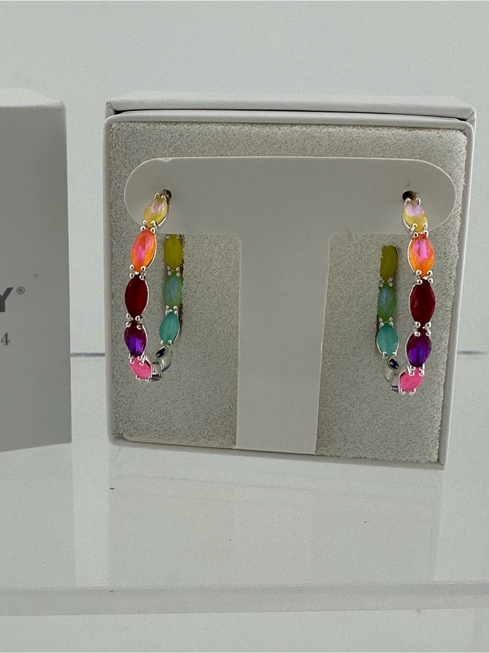 Bomb Party Multi-Color Hoop Earrings -